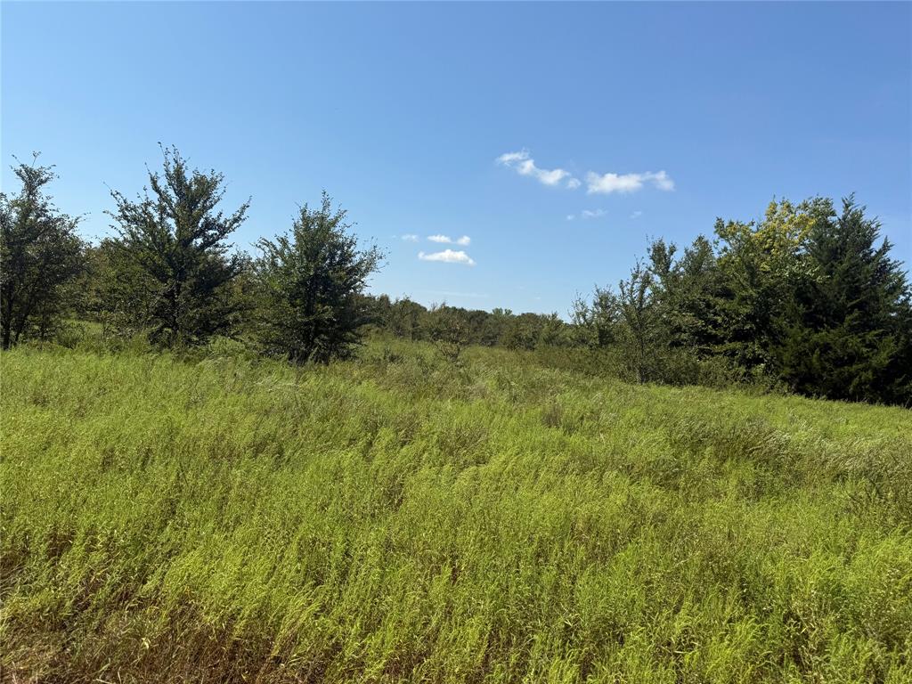 WBISD RURAL CLS 4 - Farm