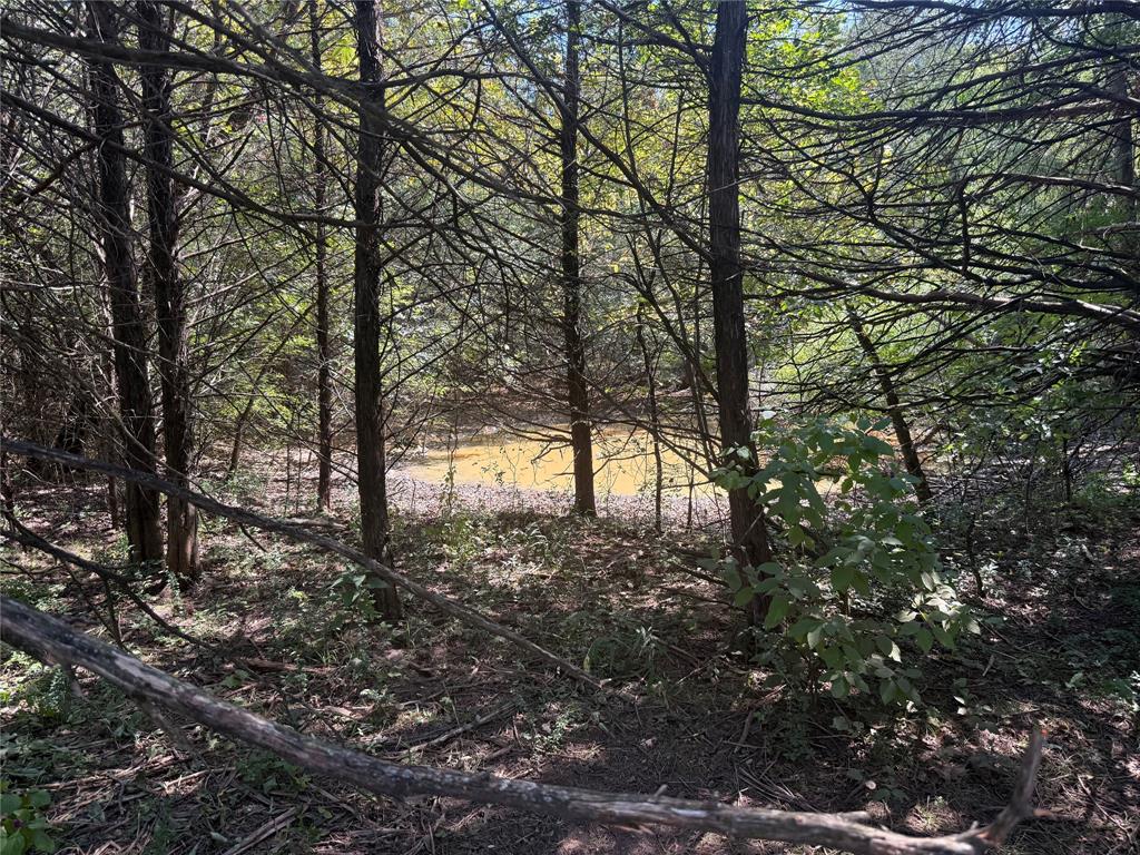 WBISD RURAL CLS 4 - Farm