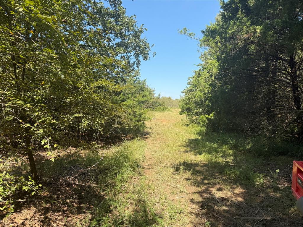 WBISD RURAL CLS 4 - Farm