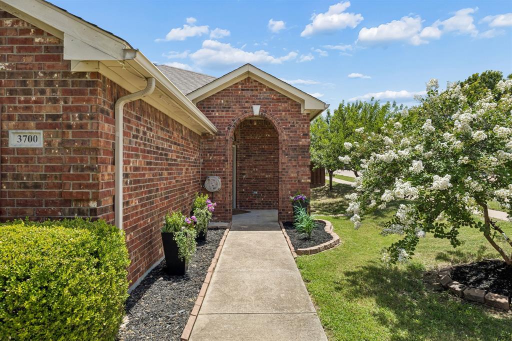 3700 Hazel Drive
