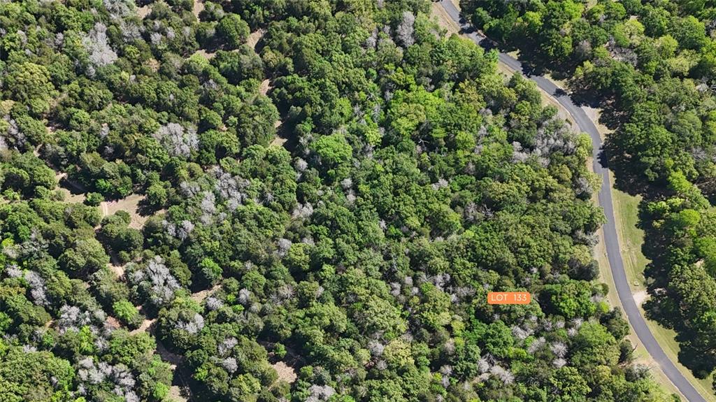 The Wilderness - Land