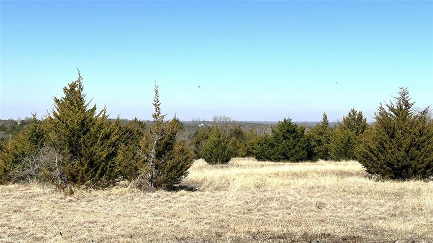 18.77 Acres located 7 miles East of HWY 75 and Texas Instruments. Pecan, Oak, Walnut and Cedar Trees shade the property. Hilltop Building sites with great views. New Gravel Driveway with Pipe Entrance and Gate. Water and Electric Available. No Restrictions. No Floodplain. A Beautiful Rock Bottom Creek forms the back boundary. Tom Bean ISD. 2 Miles to Luella. 6 Miles to Sherman. 10 Miles to Howe. 25 miles to Lake Texoma. 25 miles to Anna. 34 miles to McKinney.
