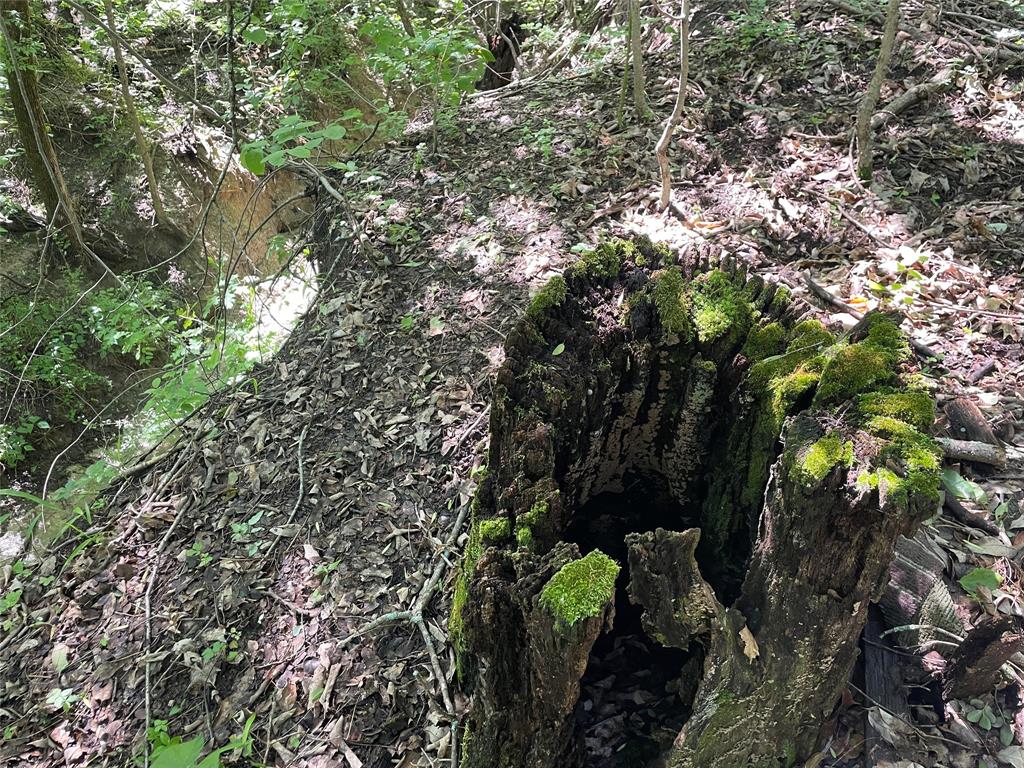 H Kattenhorn Surv A-672 - Land