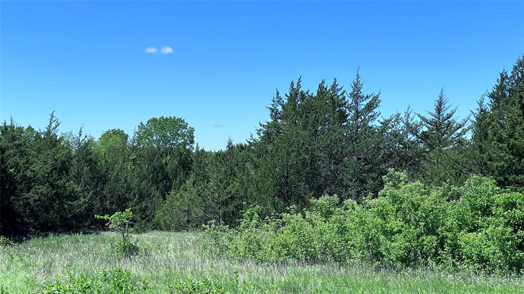 H Kattenhorn Surv A-672 - Land