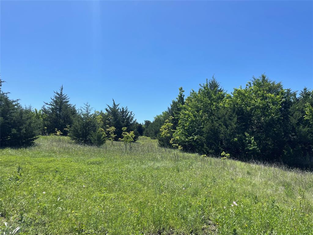 H Kattenhorn Surv A-672 - Land