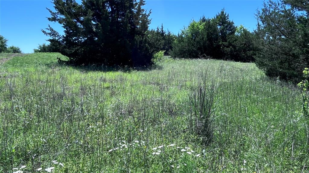 H Kattenhorn Surv A-672 - Land