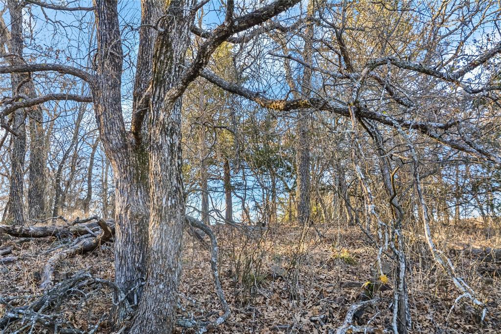 Silver Lakes Ranch - Land