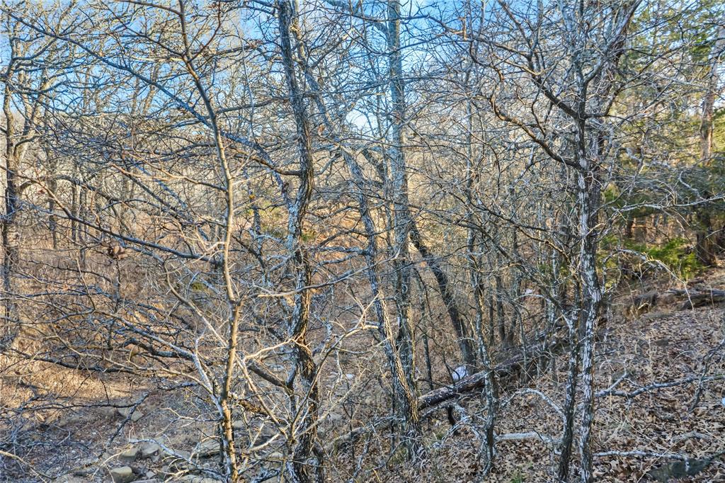 Silver Lakes Ranch - Land