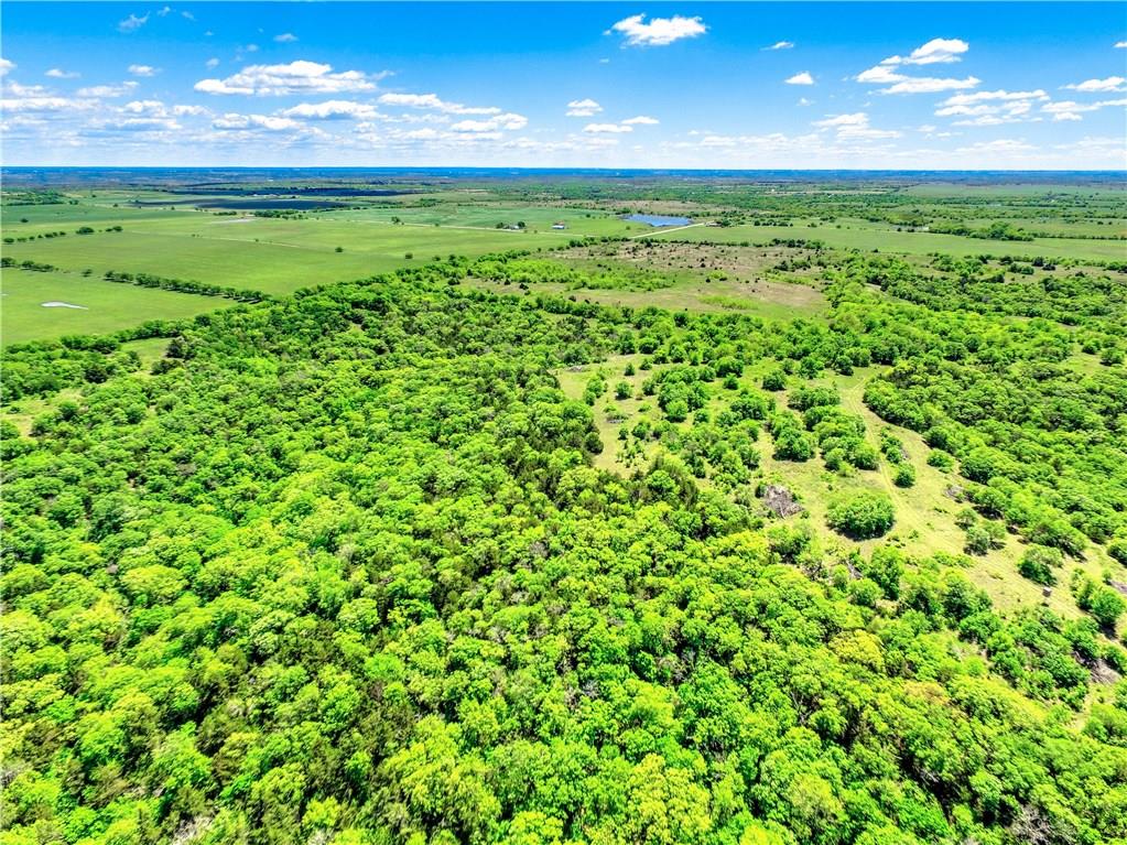 L Bateman, P Owens, J Swining, J May - Farm