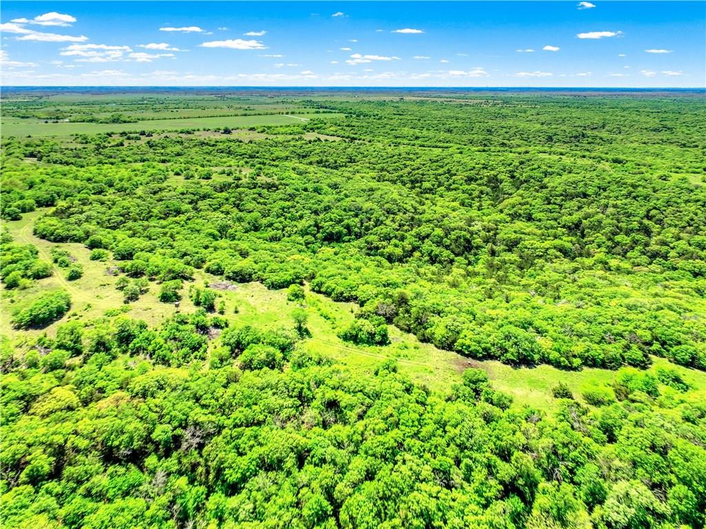 L Bateman, P Owens, J Swining, J May - Farm