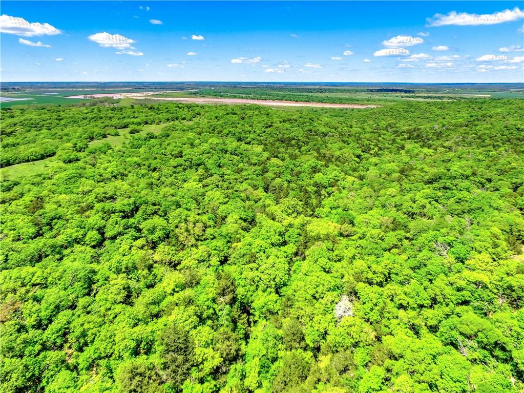 L Bateman, P Owens, J Swining, J May - Farm