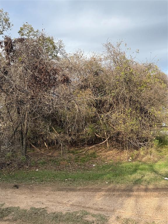 Horseshoe Bend - Land