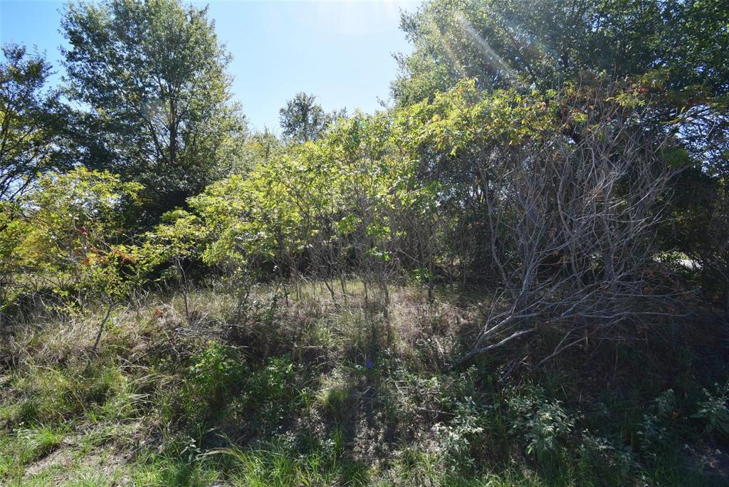 1131 Bora Bora Street