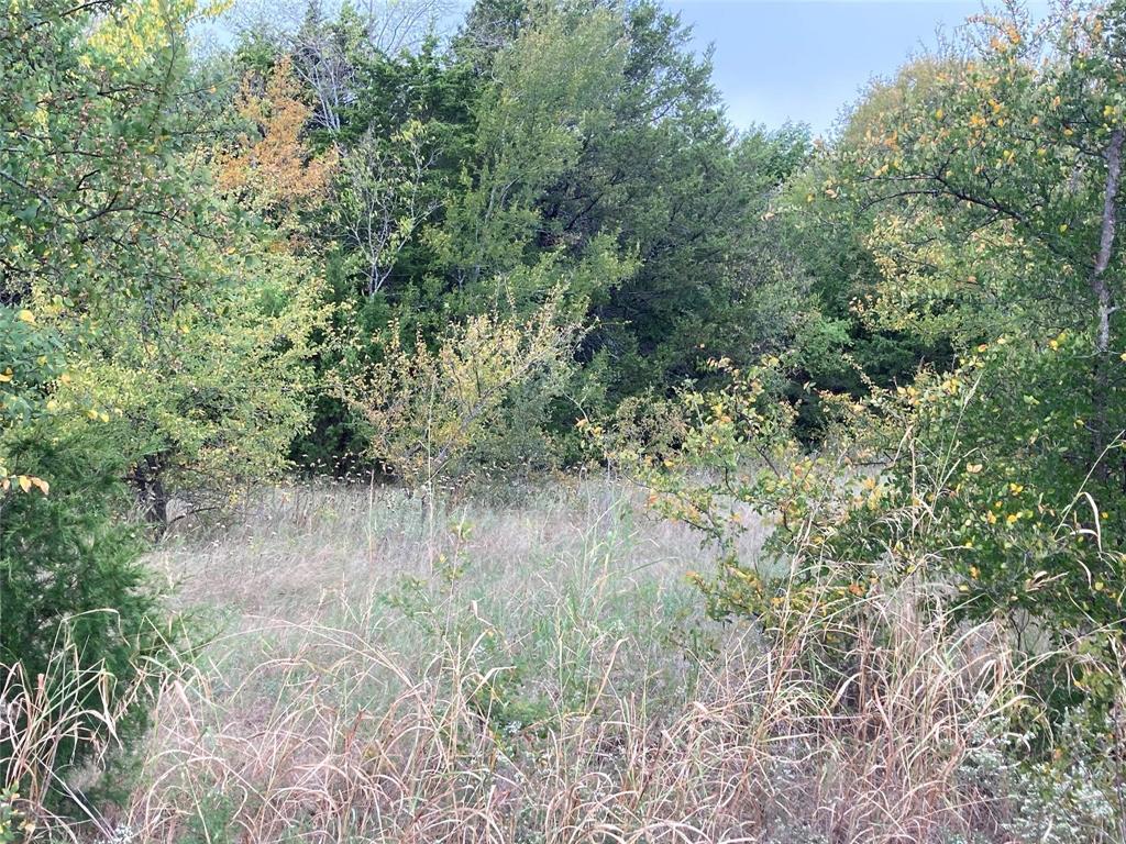 G-1141 S A M G R R CO A-G1141, ACRES 6.70 - Land