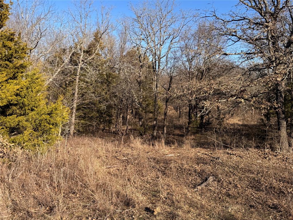 Horseman's Ranch - Land