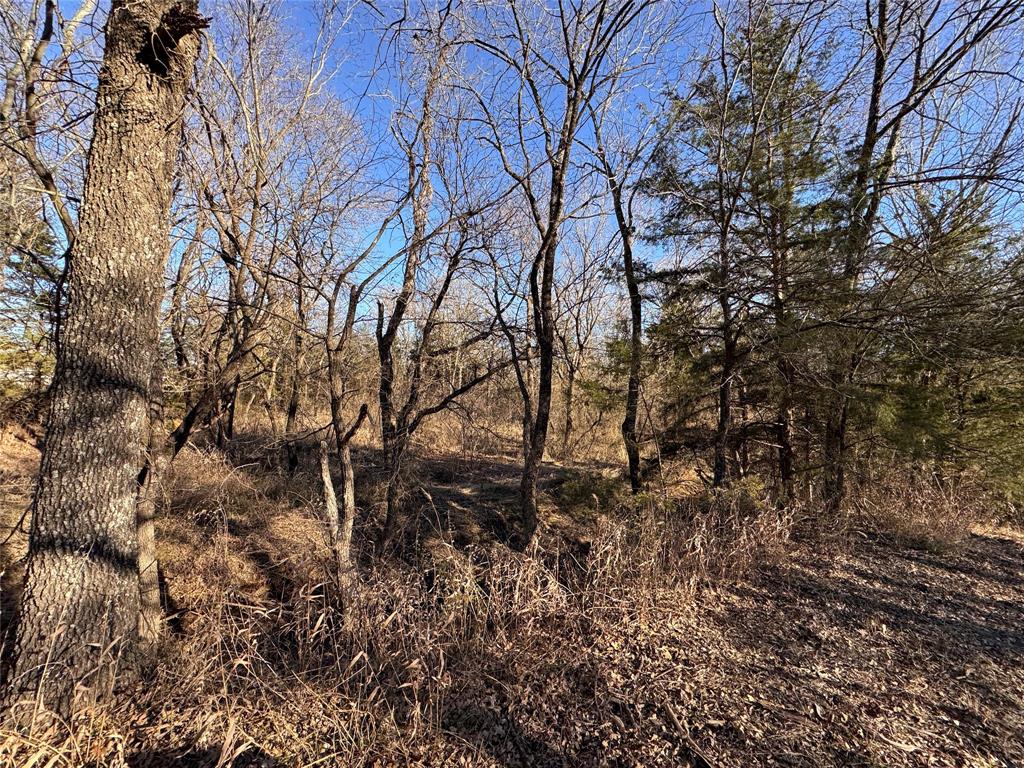 Horseman's Ranch - Land