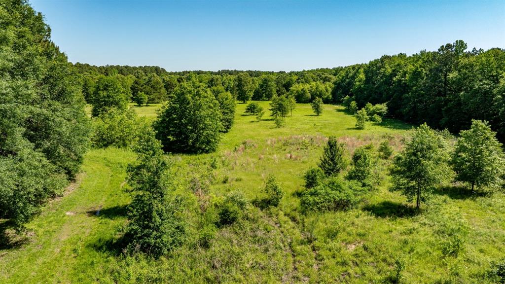 Ahira Butler Surv Abs #22 - Land