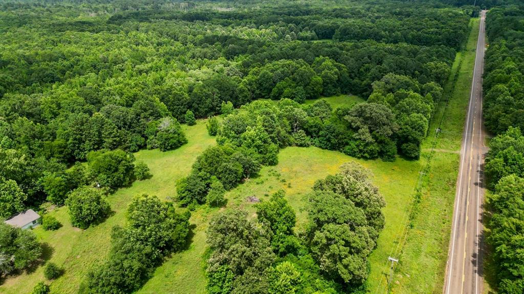 Ahira Butler Surv Abs #22 - Land