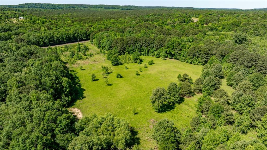 Ahira Butler Surv Abs #22 - Land