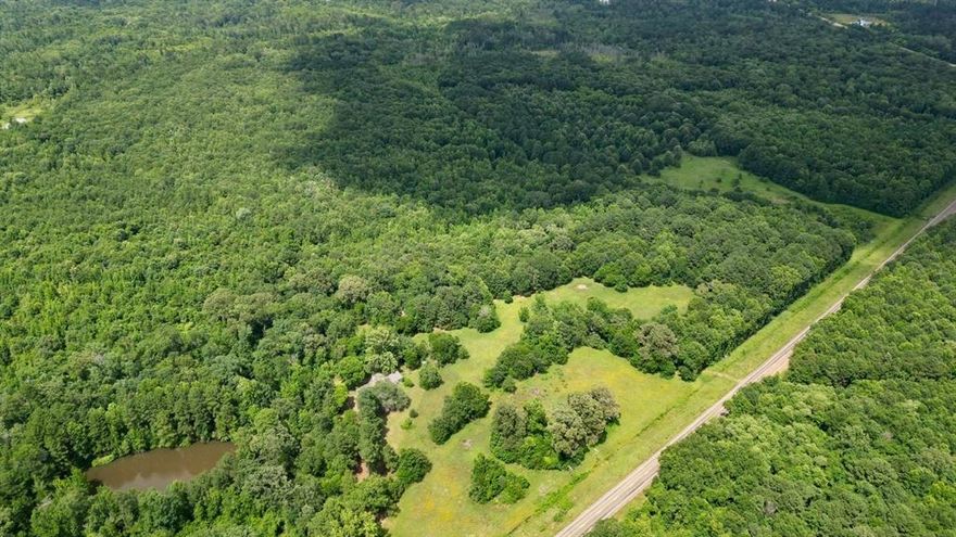 WHISPERING TIMBERS RANCH! This property is a blank slate ready for your vision. The elevated areas are ideal for a homesite or hunting lodge, while the mix of hardwoods and low-lying areas create excellent habitat for wildlife. A significant portion lies in the floodplain, making it especially attractive for hunters. Bi-County Water and electricity are available and interior trails provide good access throughout the tract. A true hunter’s paradise. With heavy cover, diverse terrain, and minimal hunting pressure, the property attracts whitetail deer, hogs, ducks, and other East Texas game. Backing up to Corps land adds to the appeal—offering additional space, habitat, and privacy for those seeking a premier outdoor experience