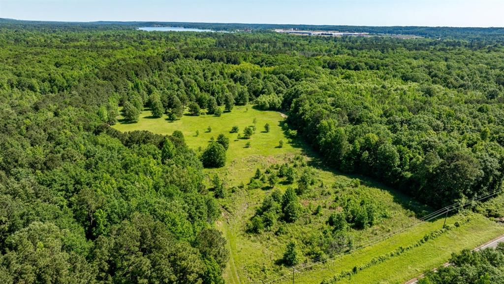 Ahira Butler Surv Abs #22 - Land