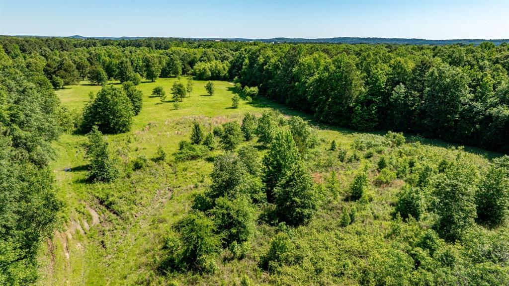 Ahira Butler Surv Abs #22 - Land