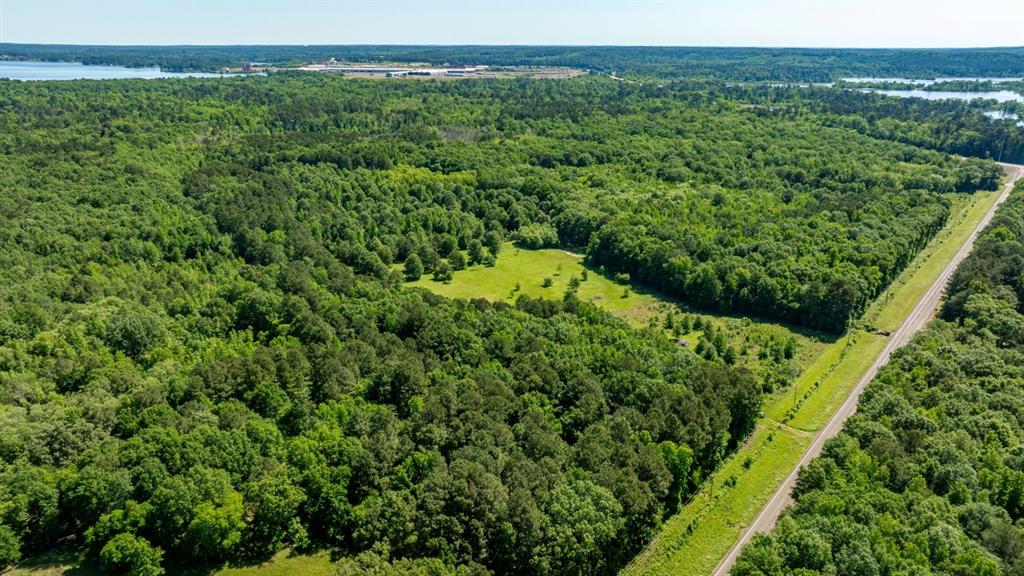 Ahira Butler Surv Abs #22 - Land