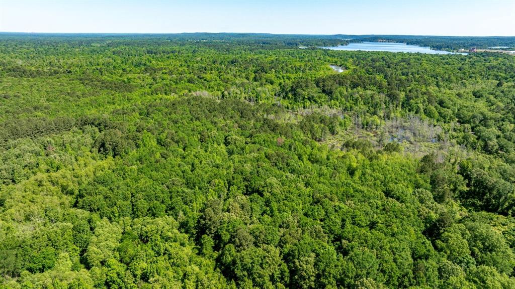 Ahira Butler Surv Abs #22 - Land