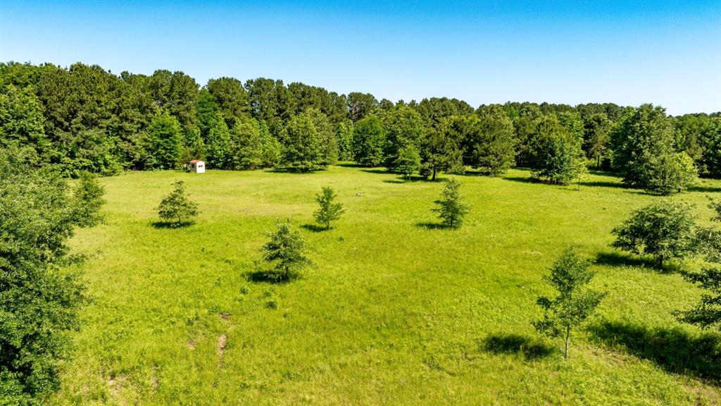 Ahira Butler Surv Abs #22 - Land