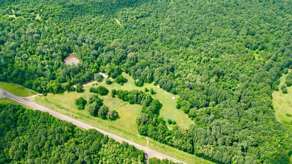 Ahira Butler Surv Abs #22 - Land