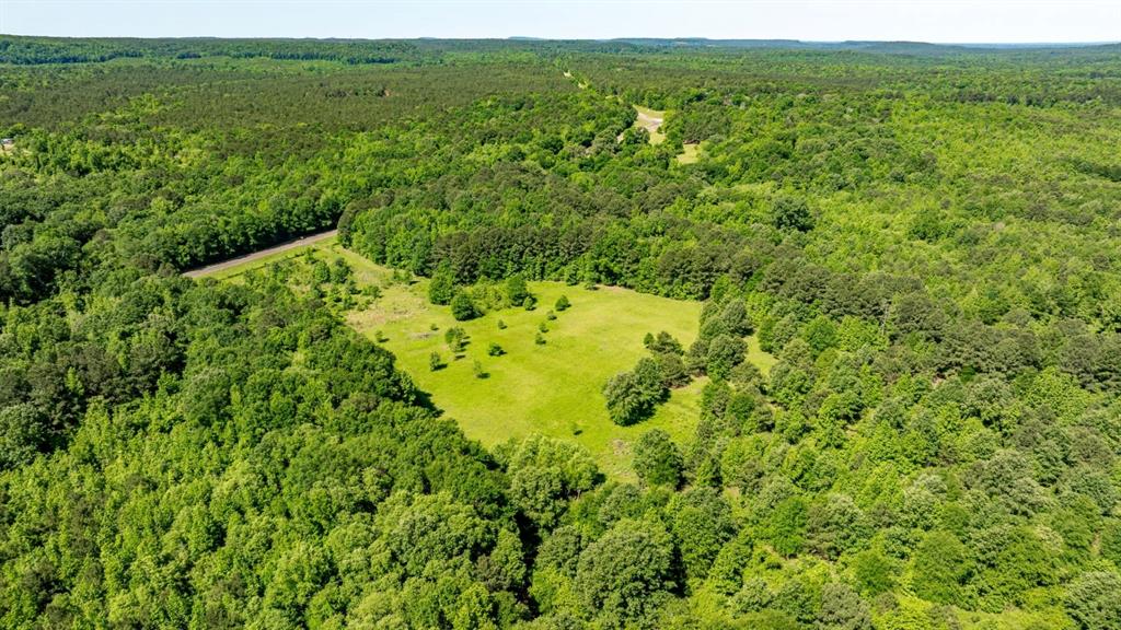 Ahira Butler Surv Abs #22 - Land