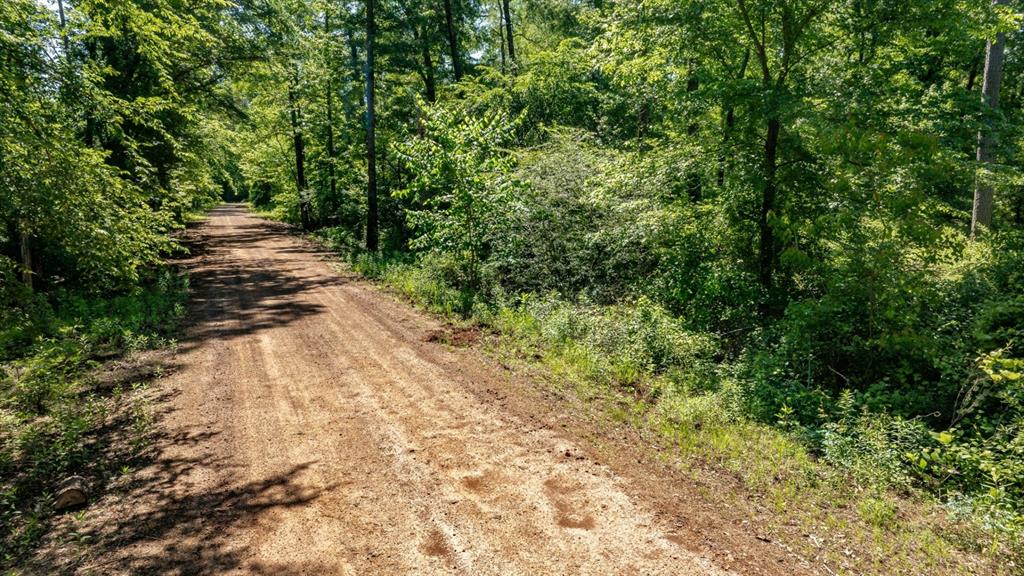 Ahira Butler Surv Abs #22 - Land