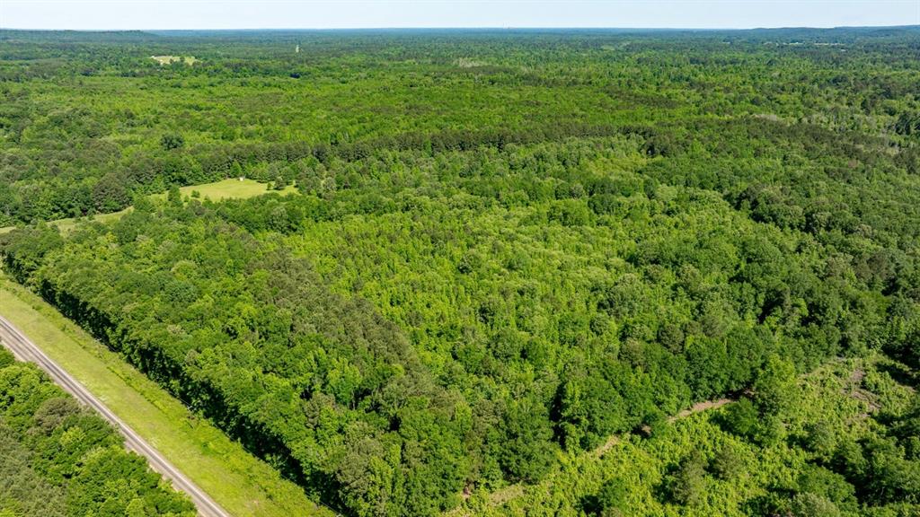 Ahira Butler Surv Abs #22 - Land