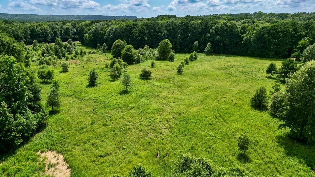 Ahira Butler Surv Abs #22 - Land