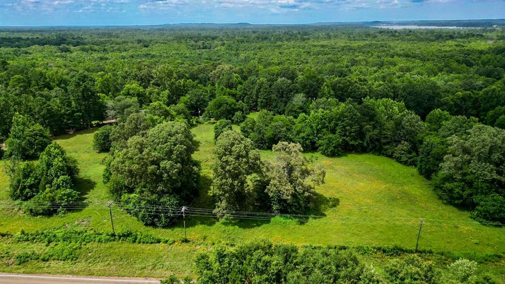 Ahira Butler Surv Abs #22 - Land