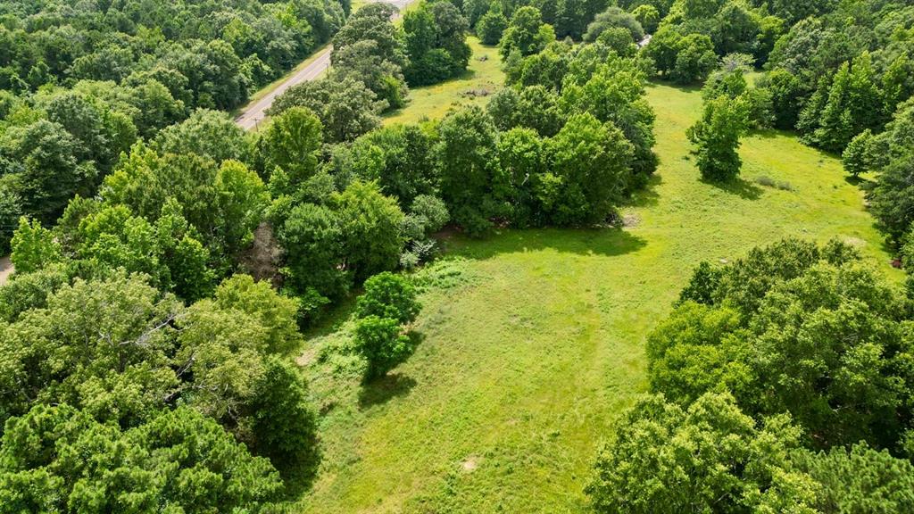 Ahira Butler Surv Abs #22 - Land