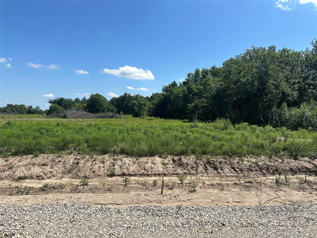 Lot 5 County Road 1110