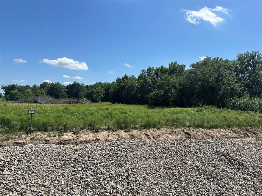 These beautiful 1+ acre lots in the countryside of Farmersville are ready for your dream home to be built on them! These lots are fully engineered with electric and water available. These are must see!