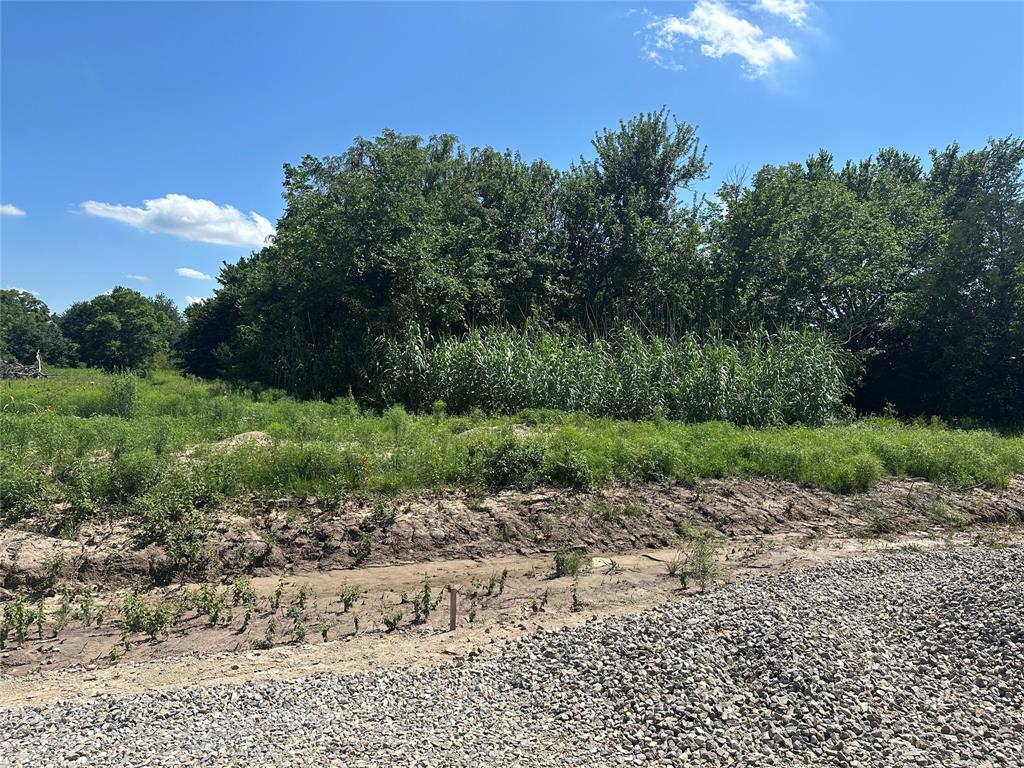 Lot 5 County Road 1110