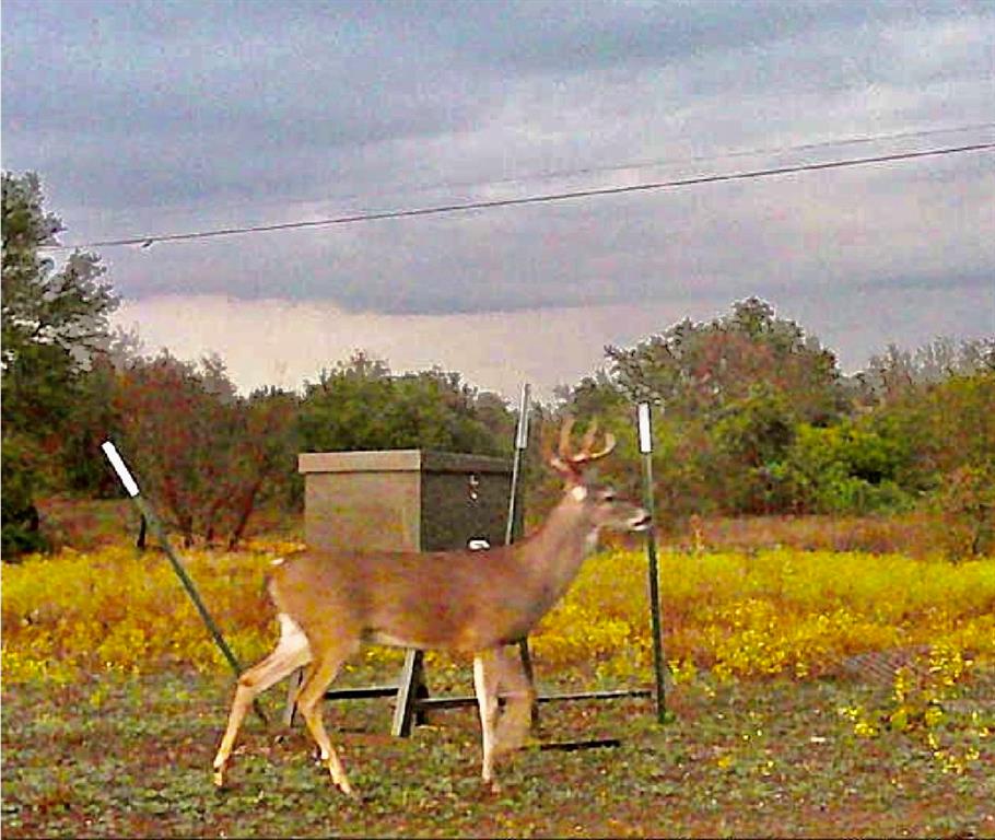 TBD County Road 275