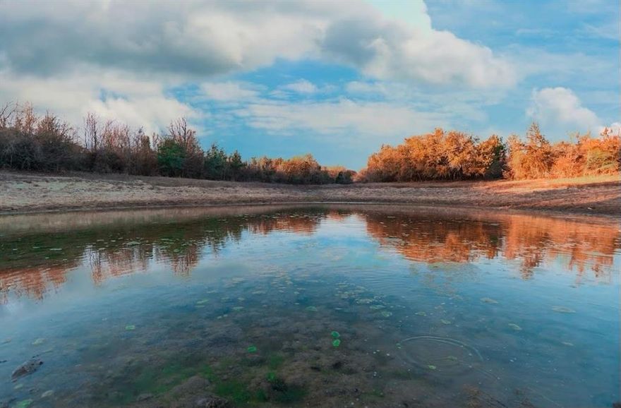 Secluded Large acreage!! This 127.59 +- acres offers it all with limitless possibilities. This property includes a large tank, native bluegrass, Indian grass, coastal fields and endless wildlife with large bucks. The property also consists of large oak, cedar and mesquite trees. This property would be perfect for a small acreage development, horse property, game ranch, RV park, or just enjoy the seclusion all to yourself. This property is a rare find located only 15 minutes outside of Stephenville. Buyer and buyers agent to verify all information.