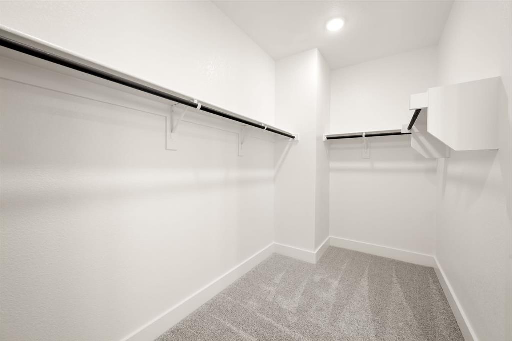 Discovery Collection at Bridgewater - Residential