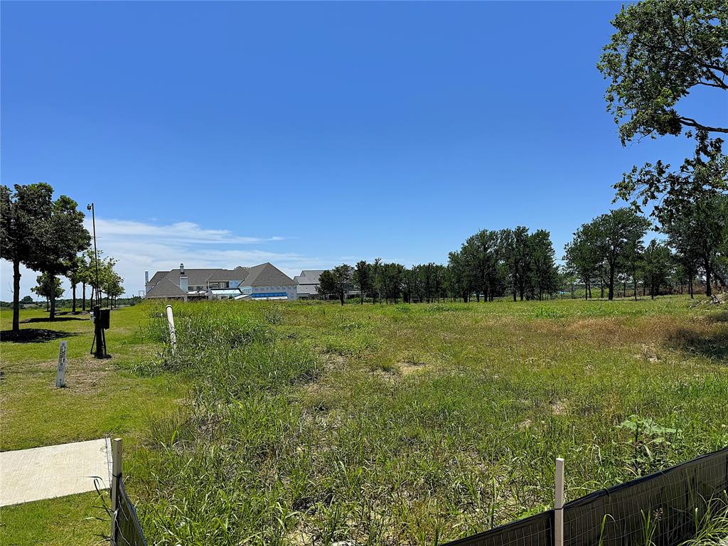 971 Lilac Lane