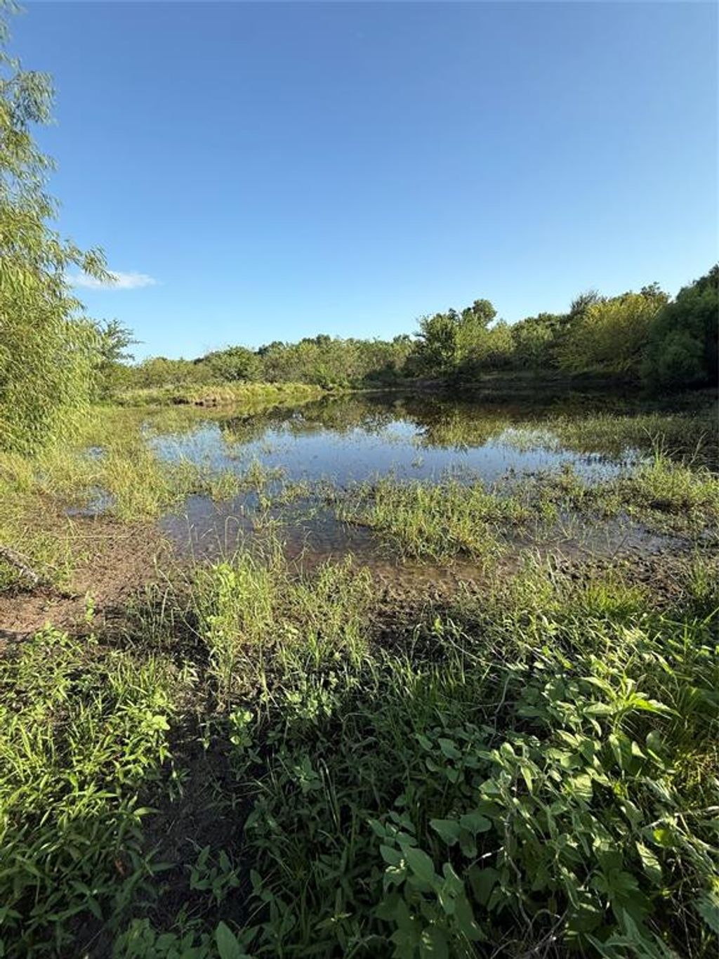 Photo of 791 St Hwy 171, Hubbard, TX 76648 (MLS # 21249781)