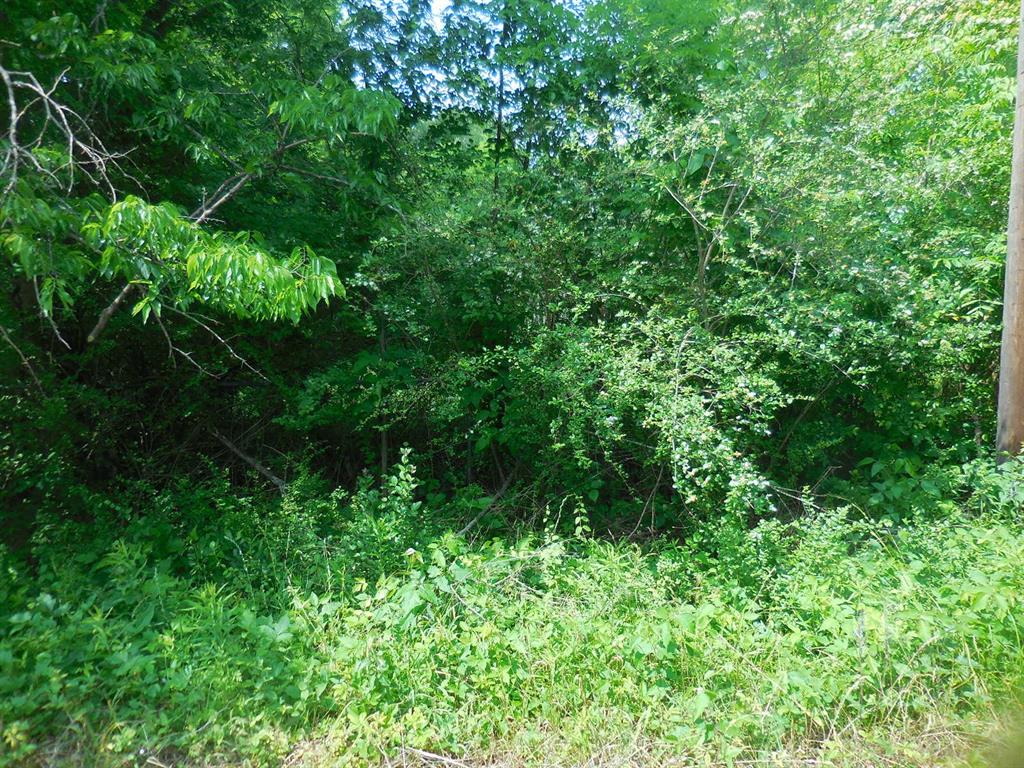 .38 Acre Garrett Avenue
