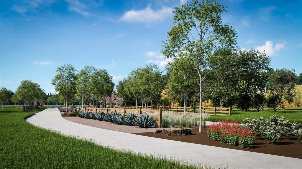 Red Bird Ridge - Land