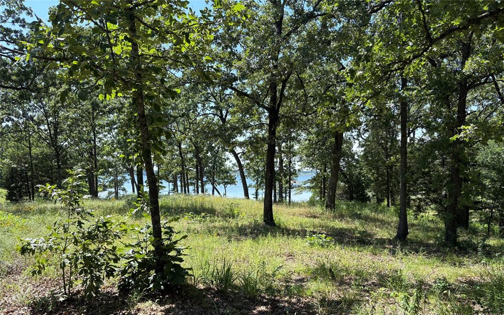 Holiday Villages Of Fork - Land