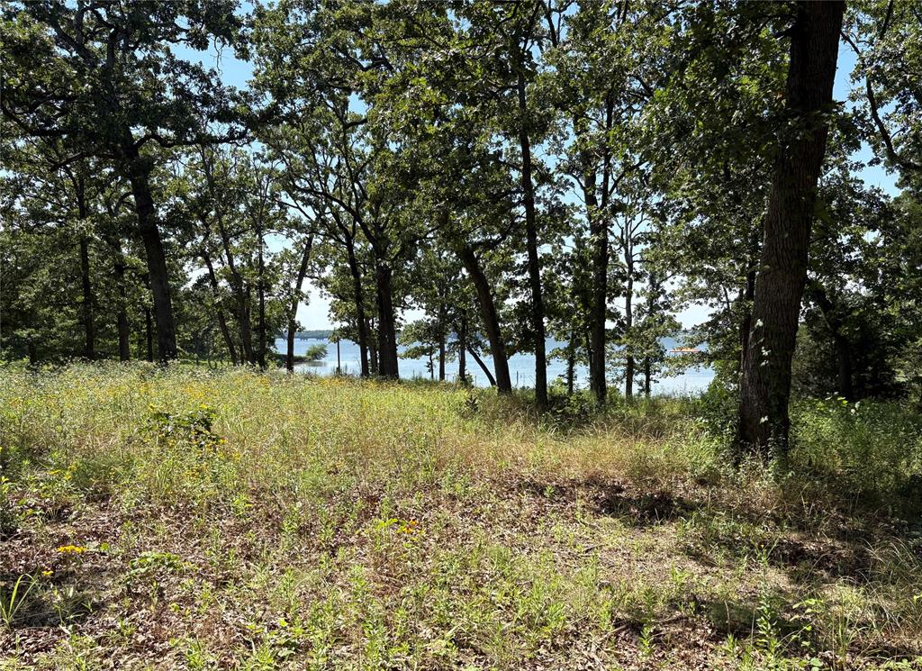 Holiday Villages Of Fork - Land