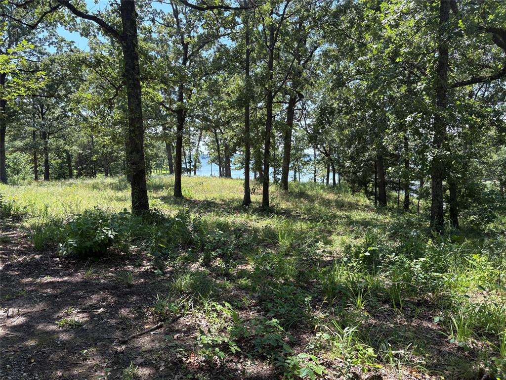 Holiday Villages Of Fork - Land