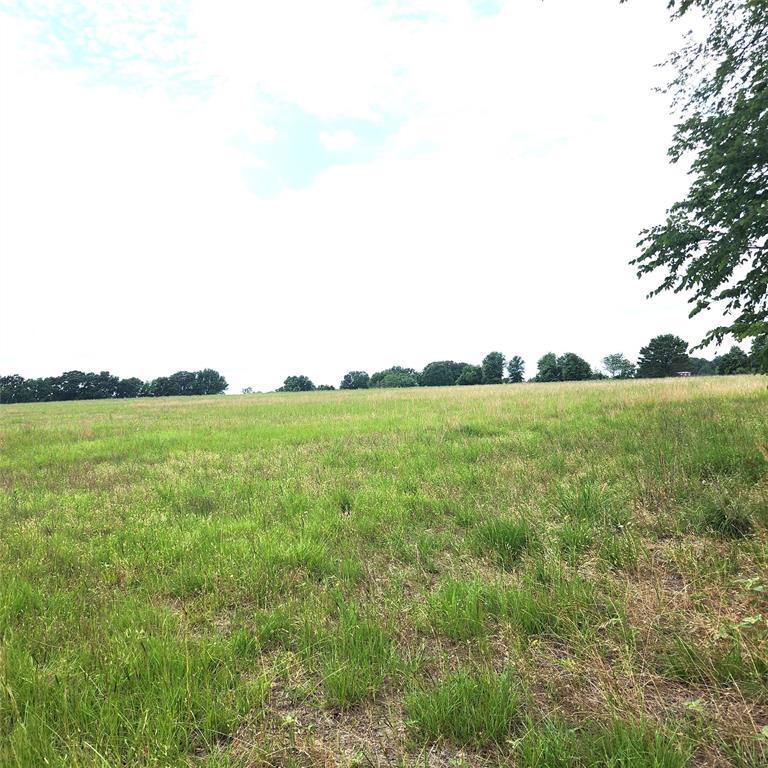 0 County Road 2813